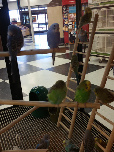 Pet Supply Store «Petco Animal Supplies», reviews and photos, 1410 N Loop 336 W, Conroe, TX 77304, USA