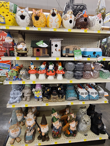 Department Store «Bi-Mart», reviews and photos, 309 S 5th Ave, Yakima, WA 98902, USA