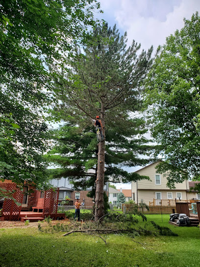Bronson Services (Tree Care Specialists)