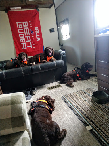 No Worries Pet Resort & Spa, Inc