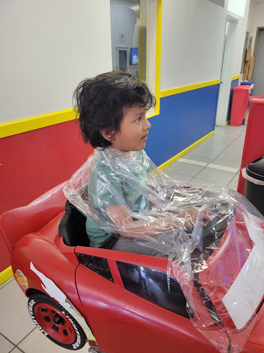 Explore hydrangea tattoo ideas, creative tattoo ideas in Chino, available at Kids Fun Cuts - Childrens Haircuts & Ear Piercings