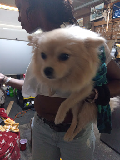 Pet Supply Store «Mini Pet Mart», reviews and photos, 1999 Main St, Springfield, OR 97477, USA