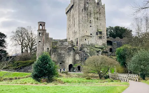 Blarney Castle & Gardens image