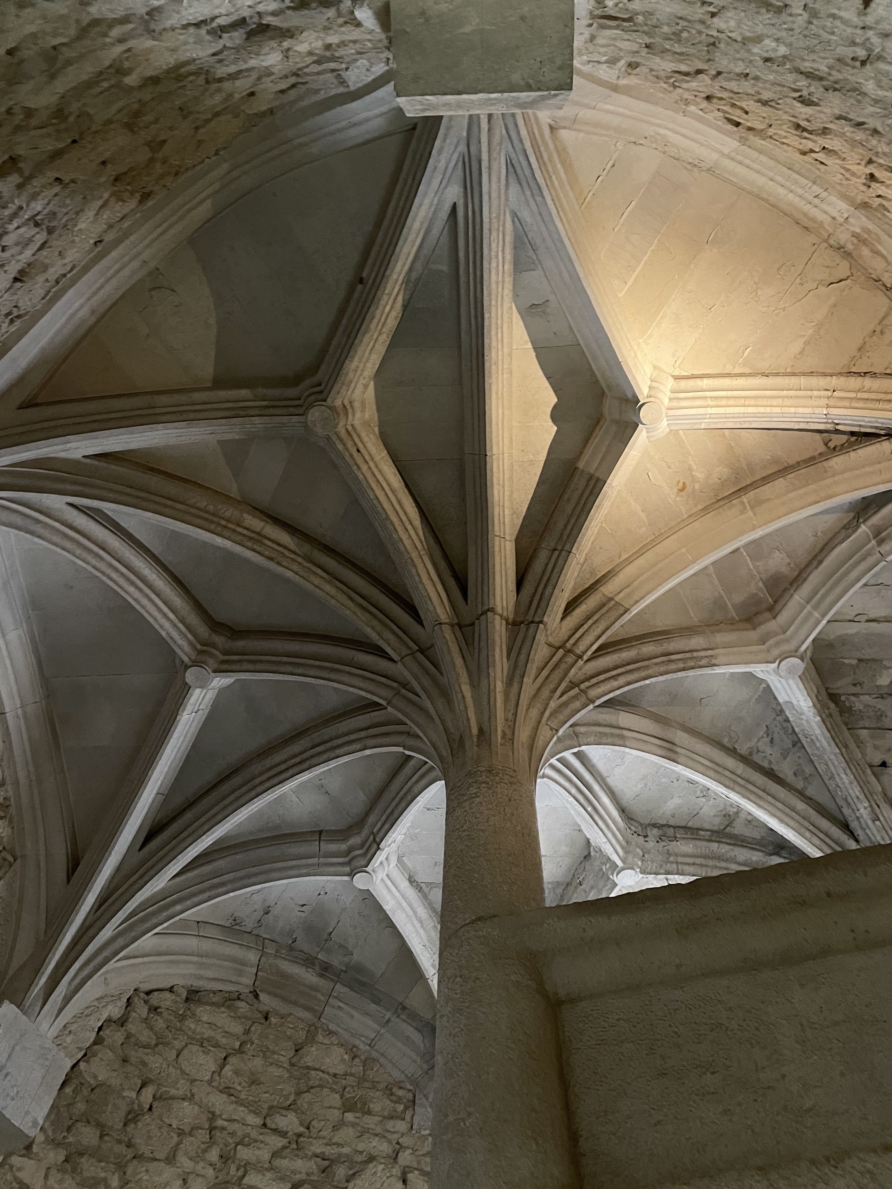 Photo n° 3 de l'avis de Delphine. fait le 15/02/2024 à 13:16