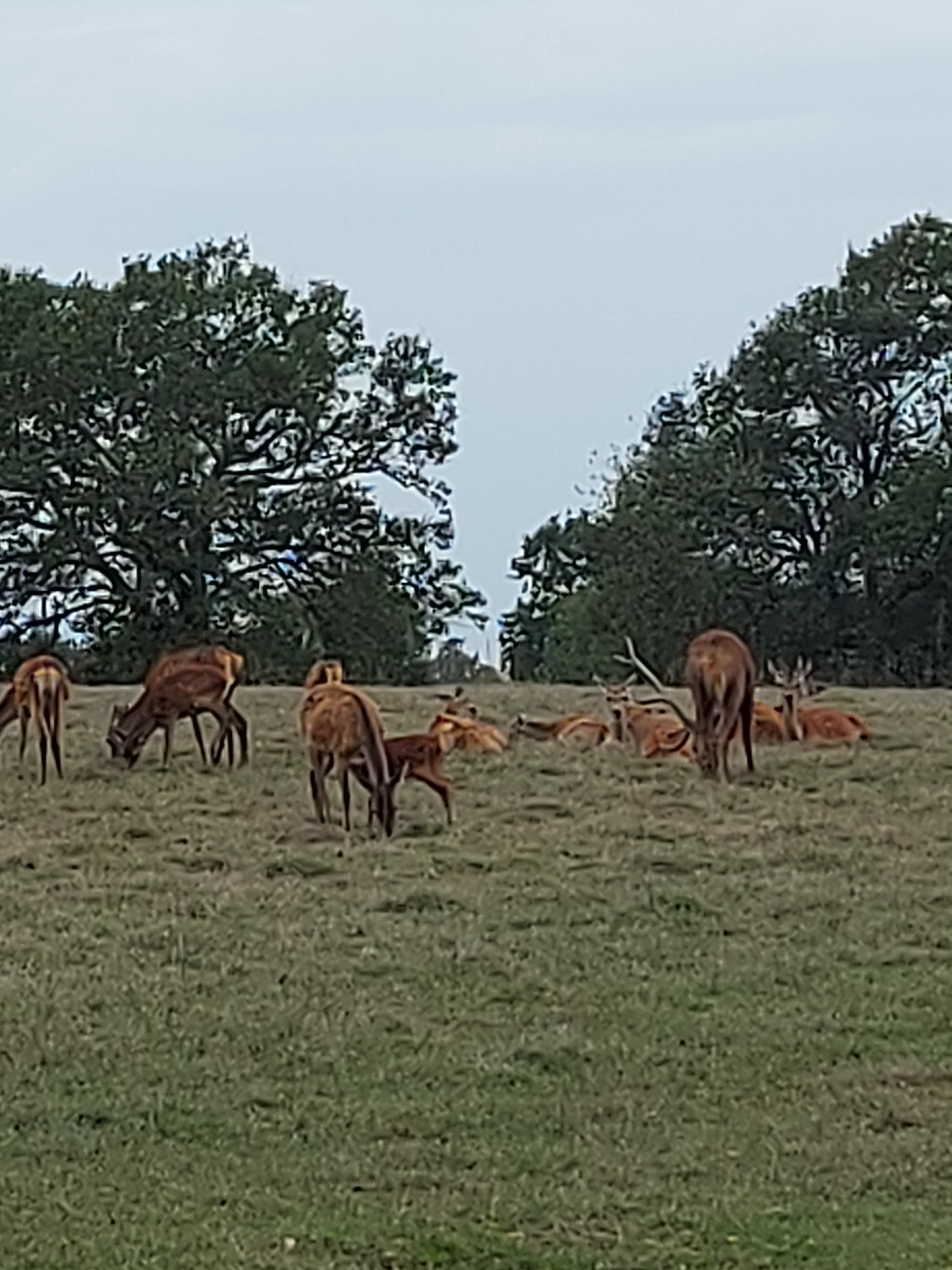 Photo n° 2 de l'avis de Cecile.e fait le 30/10/2022 à 12:57