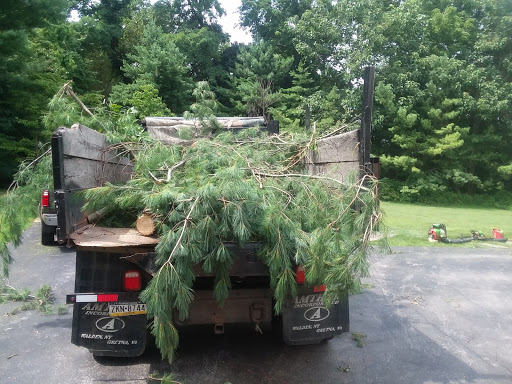 Auto Parts Store «NAPA Auto Parts - Parts Service», reviews and photos, 861 W Lancaster Ave, Strafford, PA 19087, USA