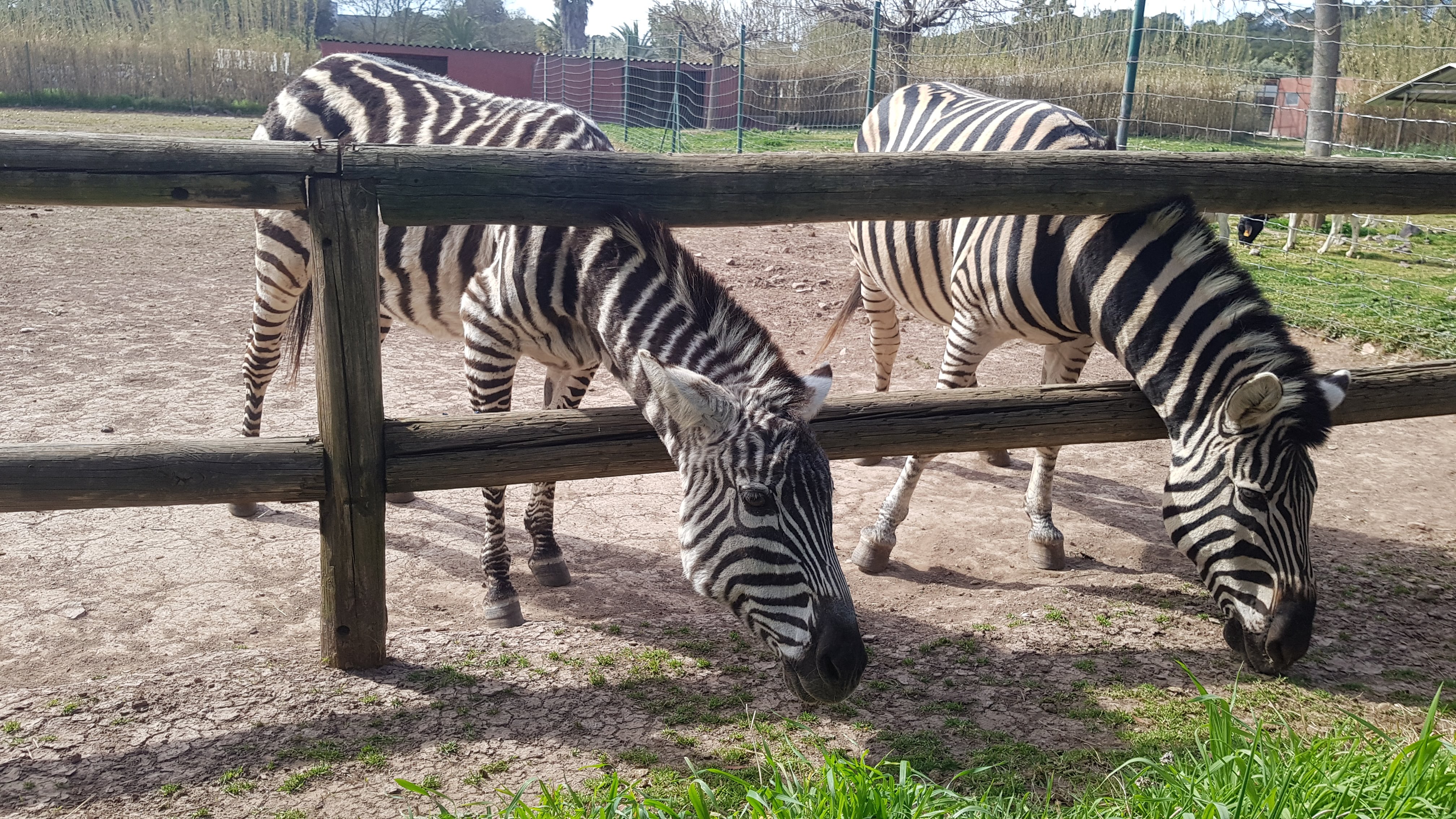 Photo n° 1 de l'avis de Océane.� fait le 03/04/2019 à 16:36