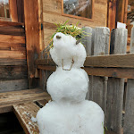 Photo n°3 de l'avis de Marc.i fait le 05/11/2023 à 14:42 sur le  Prantneralm à Sterzing