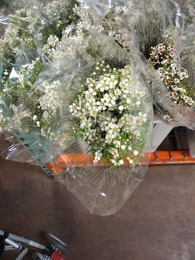 Florist «Botanica Wholesale Florist», reviews and photos, 3208 International Pl, Irving, TX 75062, USA