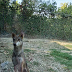 Photo n°4 de l'avis de Simona.a fait le 13/09/2021 à 22:01 sur le  Parco Zoo Falconara Srl à Falconara Marittima