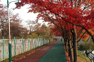 Seoho Park image