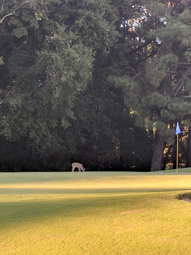 Golf Course «Northwood Country Club», reviews and photos, 3157 Club Dr, Lawrenceville, GA 30044, USA