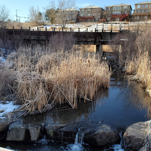 Golf Club «Highlands Ranch Golf Club», reviews and photos, 9000 Creekside Way, Highlands Ranch, CO 80129, USA