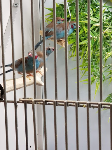 Pet Supply Store «Pet Goods», reviews and photos, 10 Commerce Blvd, Succasunna, NJ 07876, USA