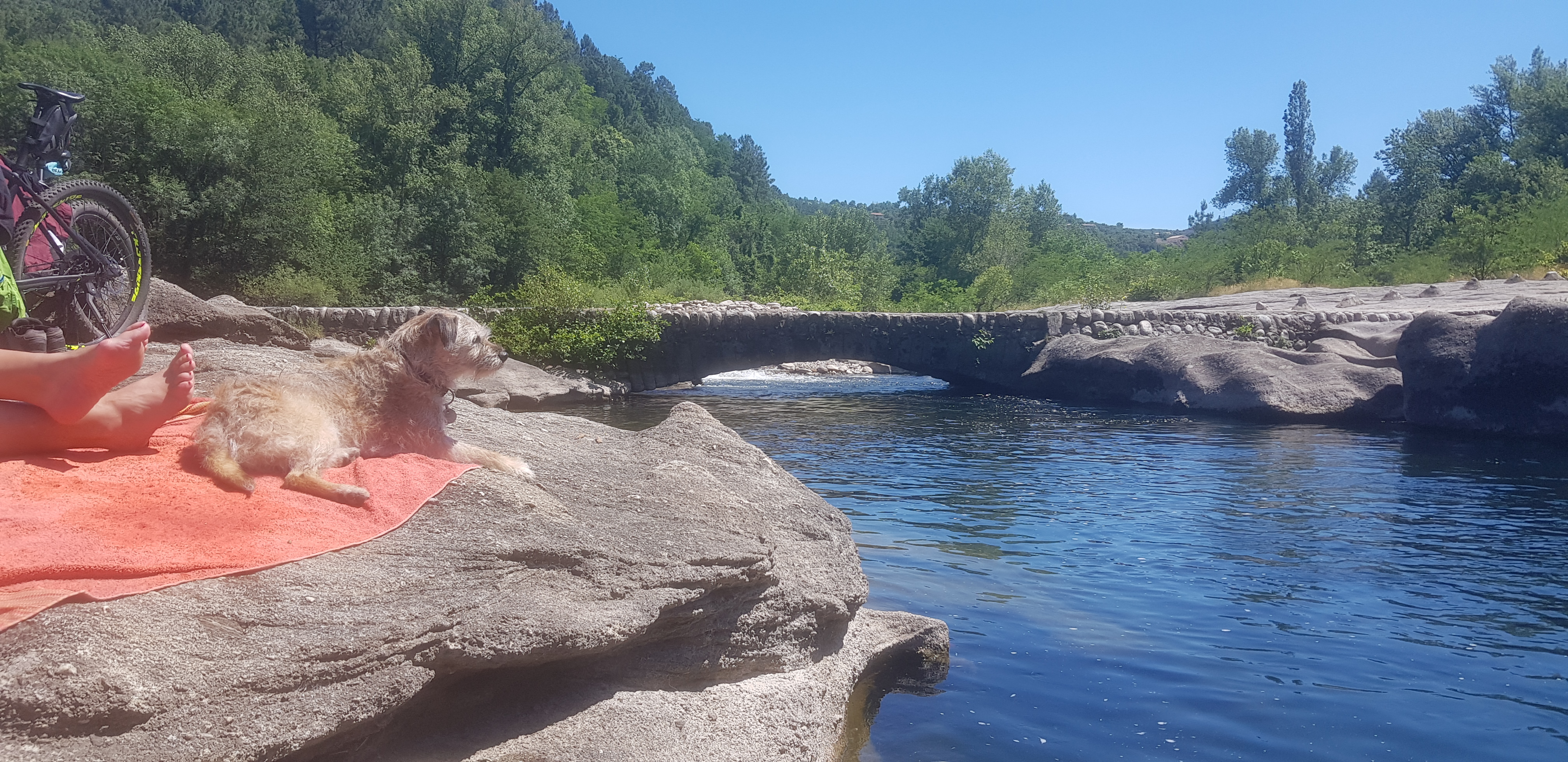 Photo n° 2 de l'avis de Jürgen.l fait le 23/06/2019 à 14:06