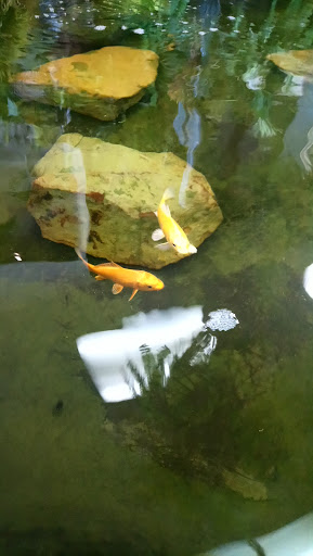 Florist «Herndon Florist, Inc.», reviews and photos, 716 Lynn St, Herndon, VA 20170, USA