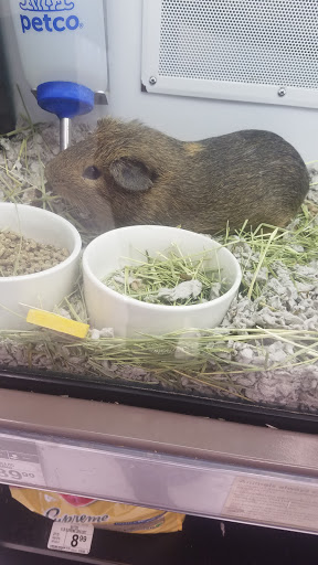 Pet Supply Store «Petco Animal Supplies», reviews and photos, 5239 Harvey St, Norton Shores, MI 49444, USA