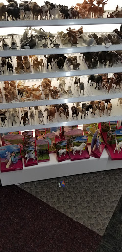 Toy Store «Dancing Bear Toys Ltd», reviews and photos, 418 N Main St, Hendersonville, NC 28792, USA