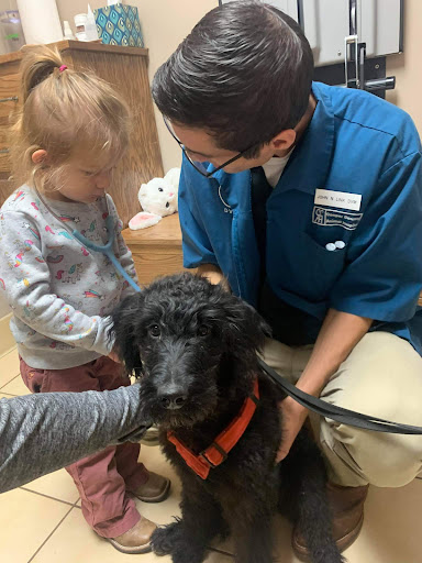 Cooper County Animal Hospital, pc image