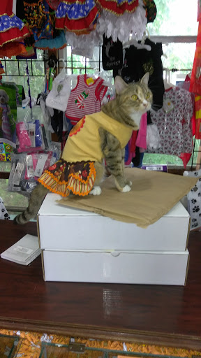 Pet Supply Store «Hobscot Pet Supply», reviews and photos, 328 E 5th Ave, Mt Dora, FL 32757, USA