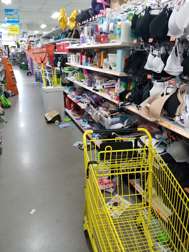 Discount Store «Dollar General», reviews and photos, 2030 Woodlawn Rd, Woodlawn, TN 37191, USA