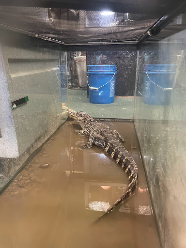 Pet Store «Off The Hook Exotics Pet Shop», reviews and photos, 926 5th Ave, Coraopolis, PA 15108, USA