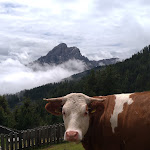 Photo n°1 de l'avis de silvestro.o fait le 11/07/2019 à 19:40 sur le  Maurerberghütte à San Martin de Tor