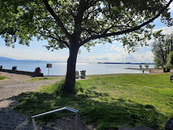 Photo de Durchreiseplatz Camping avec un rivage spacieux