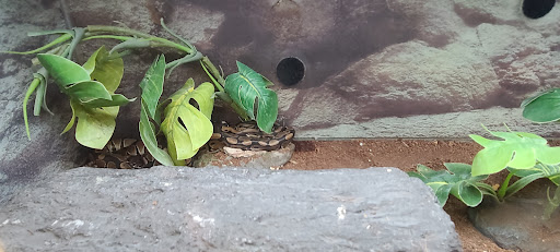 Pet Supply Store «Petco Animal Supplies», reviews and photos, 600 US-441, The Villages, FL 32159, USA