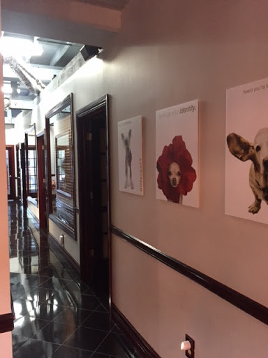 Event Planner «Staged Right Events», reviews and photos, 29 S Federal Hwy a, Dania Beach, FL 33004, USA