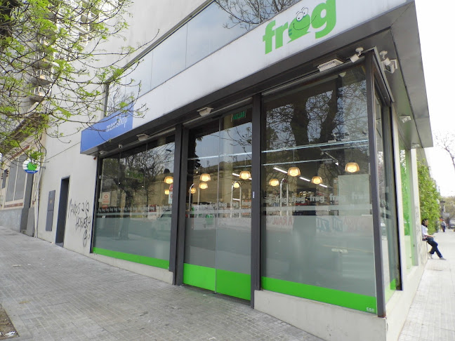 Frog 9 - Montevideo