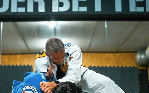 Icon BJJ (Brazilian Jiu Jitsu) Mafra image