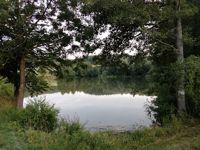 Horní bělovodský rybník