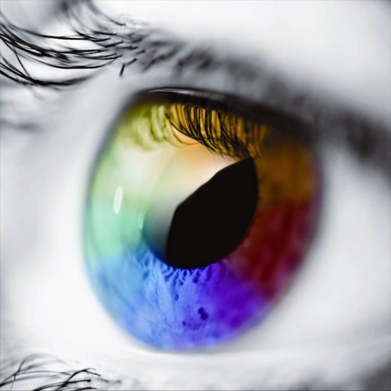 Eye Foundation of Utah