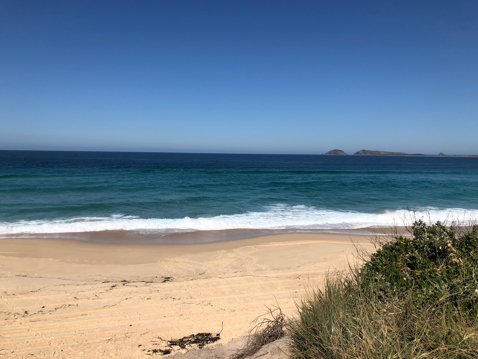 Foto de Wanderrabah Beach localizado em área natural