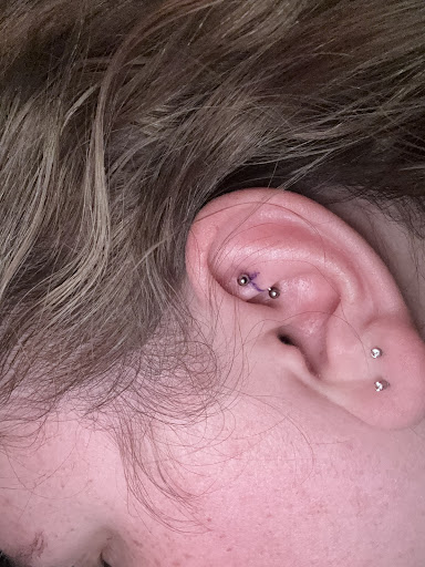 Find wolf tattoo idea for your next unique tattoo in Utica at Red Raven Tattoo and Body Piercing