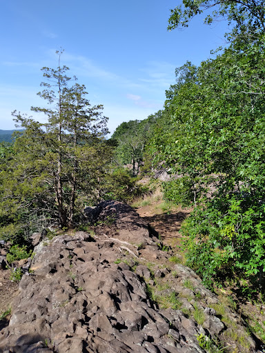 Nature Preserve «Ragged Mountain Memorial Preserve», reviews and photos, 240 Kensington Rd, Berlin, CT 06037, USA
