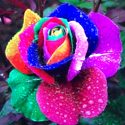 Explore king of the hill tattoo ideas, creative tattoo ideas in Rockford, available at Euro Tattoo