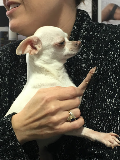 Photography Studio «ANGIE DAVIS», reviews and photos, 1131 Front St, Conway, AR 72032, USA