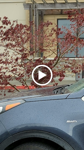 Grocery Store «Safeway», reviews and photos, 2555 Harris St, Eureka, CA 95503, USA