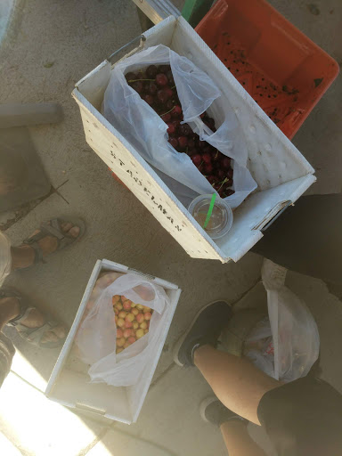 Produce Market «Washington Fruit Place At Barrett Orchards», reviews and photos, 1209 Pecks Canyon Rd, Yakima, WA 98908, USA