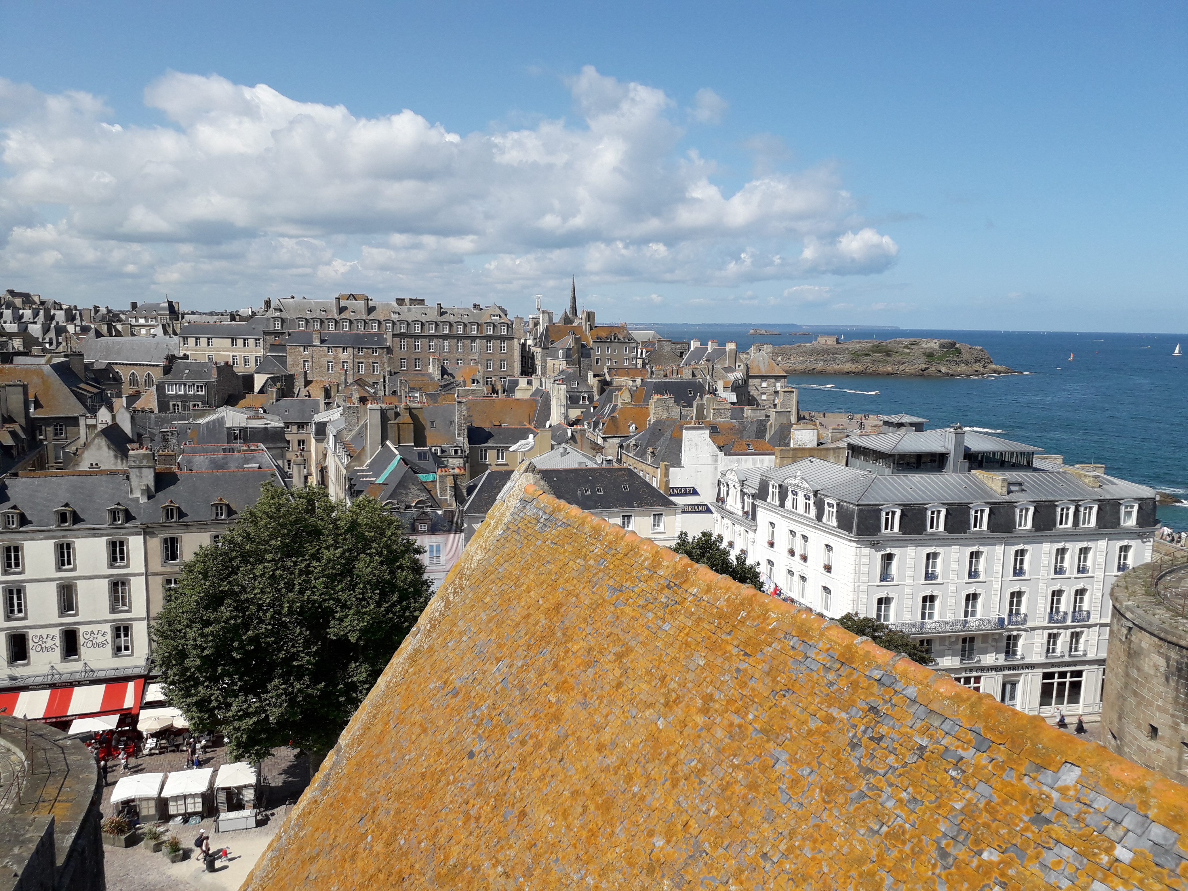 Photo n° 13 de l'avis de Grégoire.e fait le 25/08/2019 à 08:19