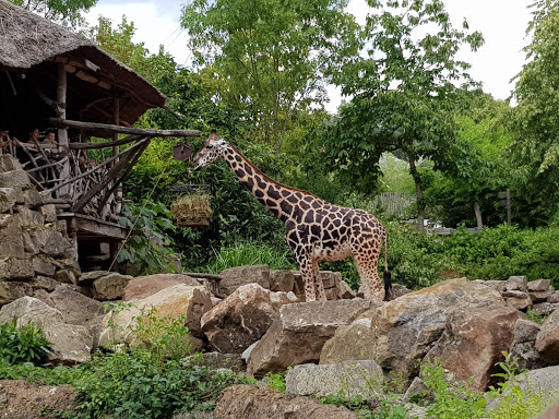 Erlebnis-Zoo Hannover