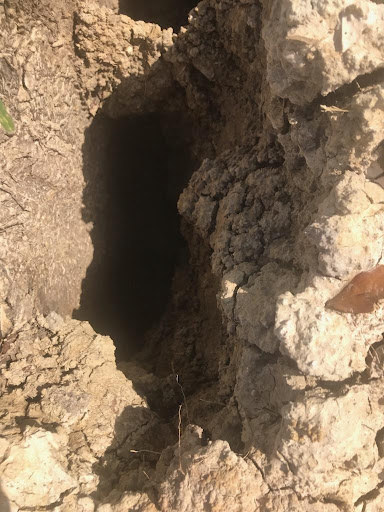 Funeral Home «San Jacinto Funeral Home & Memorial Park», reviews and photos, 14659 East Fwy, Houston, TX 77015, USA