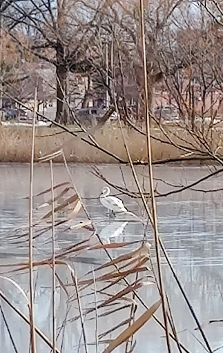 Park «Baisley Pond Park», reviews and photos, Baisley Blvd, Jamaica, NY 11434, USA