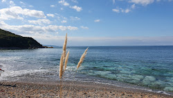 Photo de Plage de Senix avec un rivage spacieux