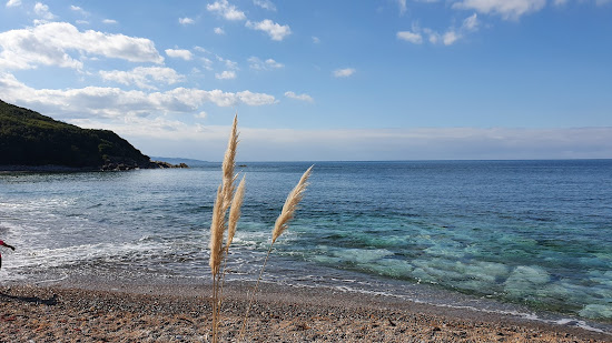 Plage de Senix