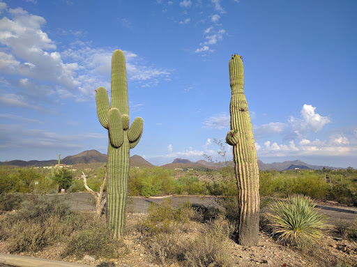 GREASEWOOD PARK