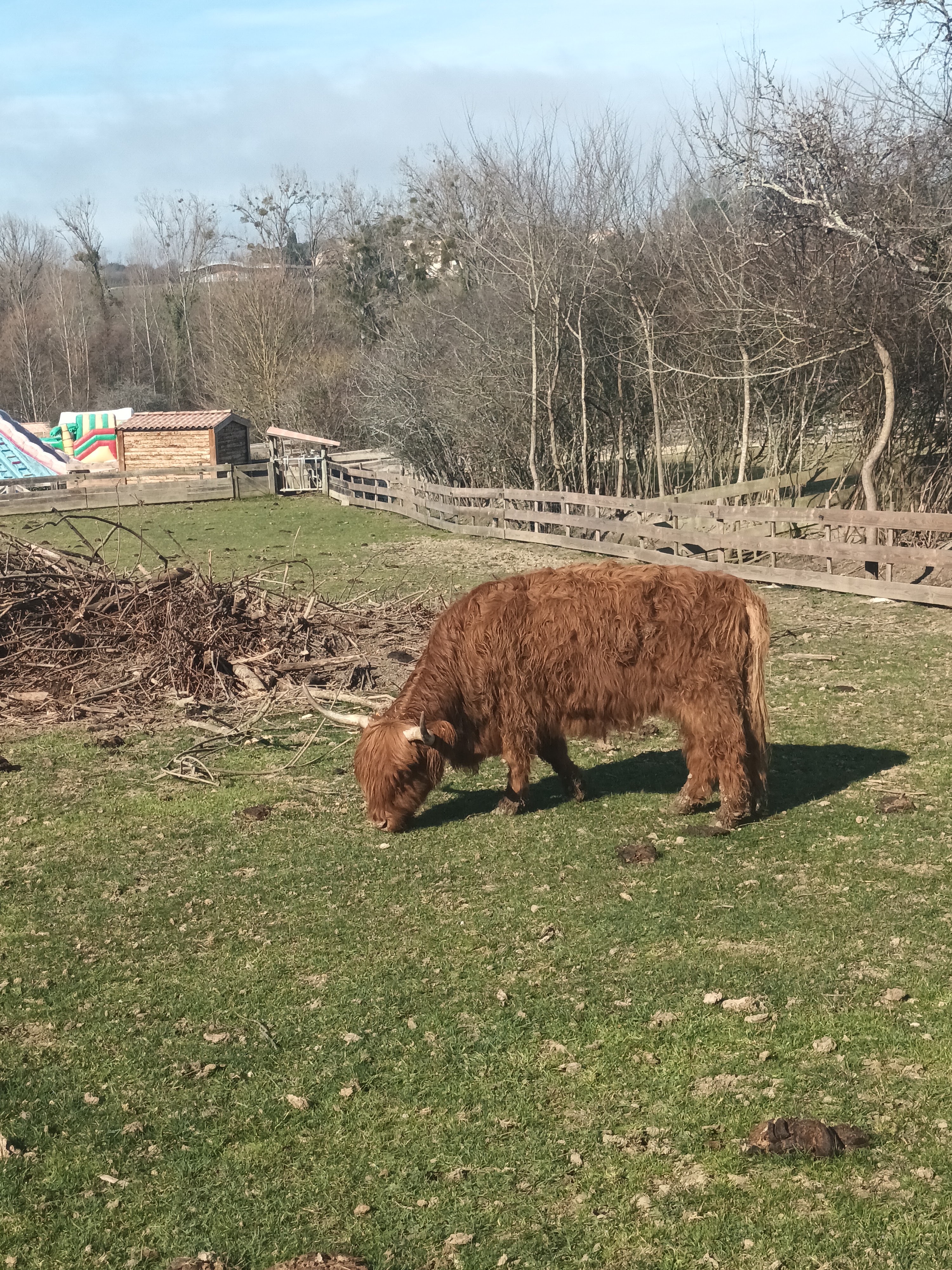 Photo n° 8 de l'avis de mélanie.e fait le 19/02/2023 à 14:46