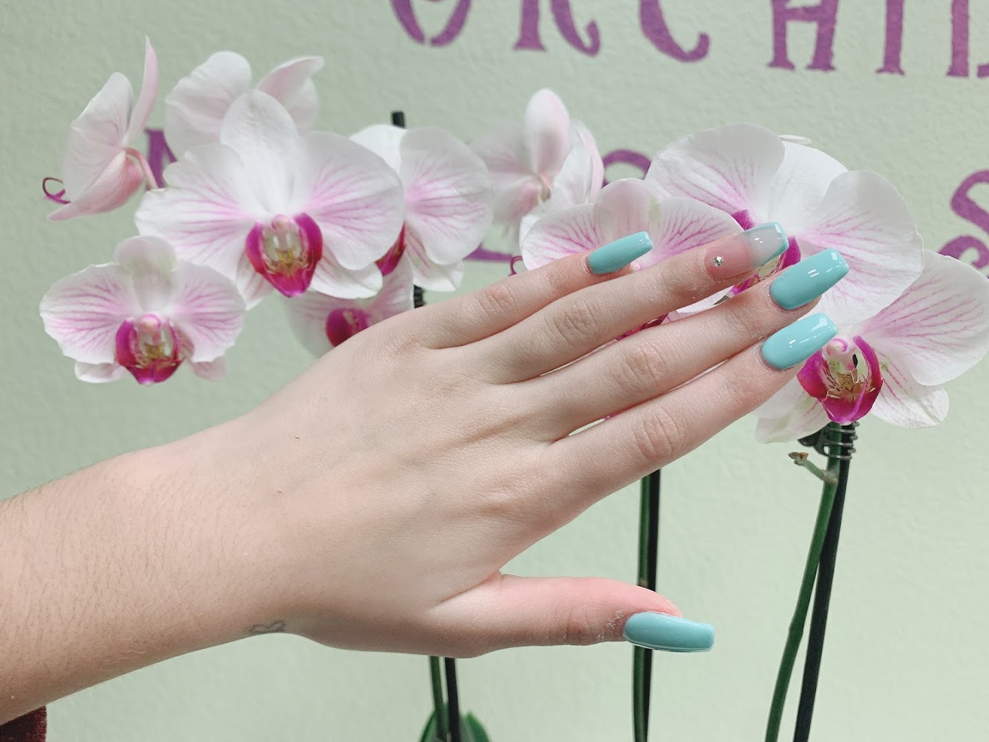 Orchid Nails Spa & Hair